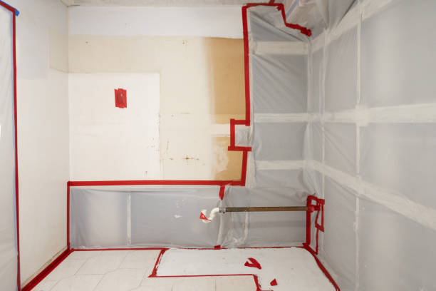 Environmental Consulting for Mold Prevention in Hamilton, MO