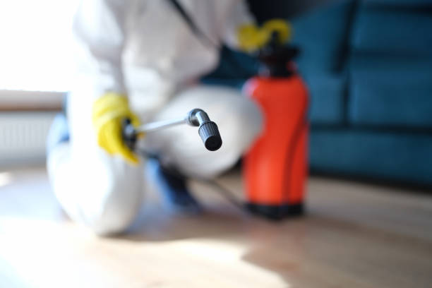Best Airborne Mold Testing  in Hamilton, MO